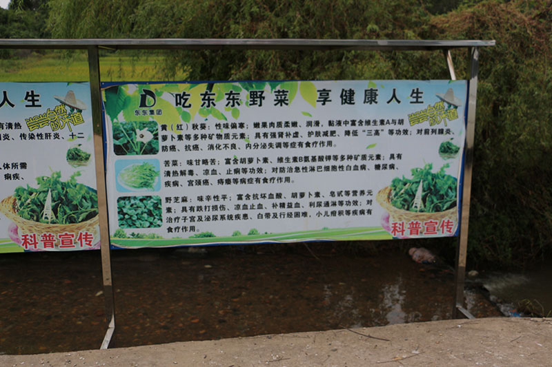 蔬菜基地